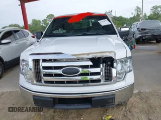 2009 Ford F-150 STX with VIN 1FTRX12819FA82911, listed as a IAAI auction lot 42424005 with 251,720 mi miles and . Bid and sale history available at DreamBid. Image 6.