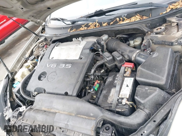 2005 Nissan Maxima SL with VIN 1N4BA41E15C811924, listed as a IAAI auction lot 42067614 with 230,375 mi miles and . Bid and sale history available at DreamBid. Image 10.