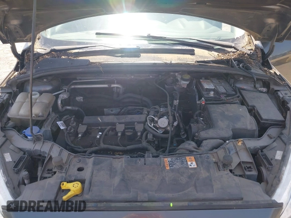 2016 Ford Focus SE with VIN 1FADP3F29GL289322, listed as a IAAI auction lot 42545155 with 141,120 mi miles and . Bid and sale history available at DreamBid. Image 10.