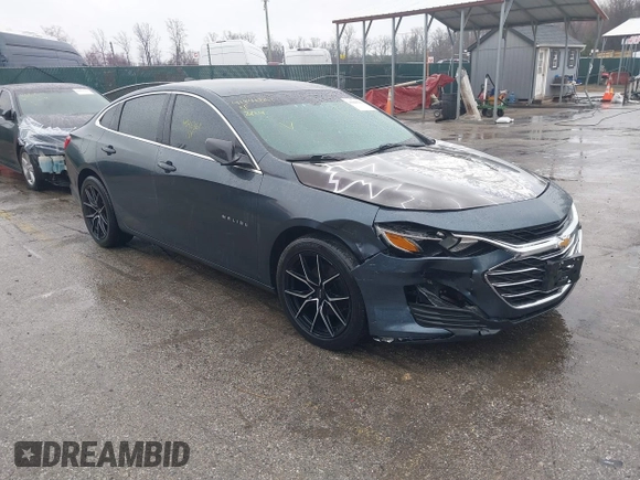 2019 Chevrolet Malibu LS z VIN 1G1ZB5ST4KF176256, wystawiony jako IAAI lot #41846361 z przebiegiem 172 654 mil mil oraz . Historia ofert i sprzedaży dostępna na DreamBid. Obrazek 1.