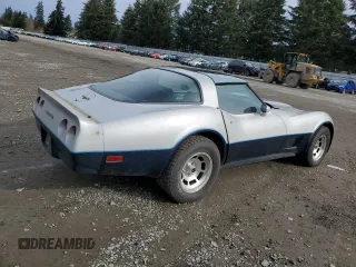 1981 Chevrolet Corvette with VIN 1G1AY8765B5102866, listed as a Copart auction lot 46165045 with 41,222 mi miles and Clean Title. Bid and sale history available at carsss.com. Image 3.