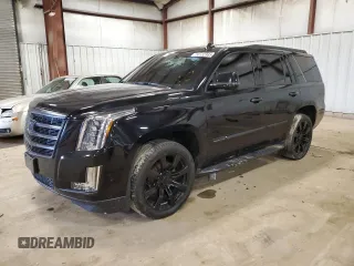 2018 Cadillac Escalade Luxury with VIN 1GYS4BKJ2JR101496, listed as a Copart auction lot 50132985 with Not provided miles and Clean title. Bid and sale history available at DreamBid. Image 1.