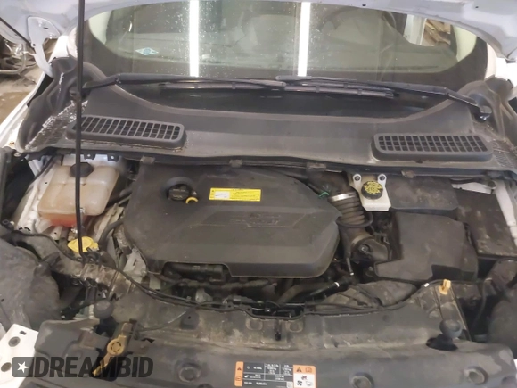 2016 Ford Escape SE with VIN 1FMCU9GX6GUB65266, listed as a IAAI auction lot 41559663 with 55,883 mi miles and . Bid and sale history available at DreamBid. Image 10.