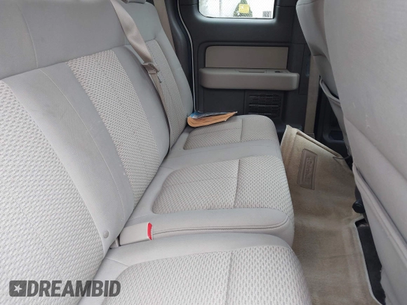 2010 Ford F-150 XL with VIN 1FTEX1E85AKC18141, listed as a IAAI auction lot 41948061 with 188,422 mi miles. Bid and sale history available at carsss.com. Image 8.