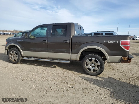 2009 Ford F-150 XL with VIN 1FTPW14V49KC41991, listed as a Copart auction lot 50378575 with 213,369 mi miles and Clean Title. Bid and sale history available at carsss.com. Image 2.