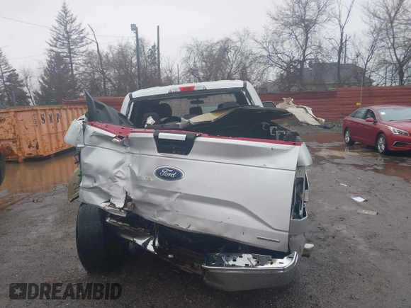 2015 Ford F-150 XLT with VIN 1FTEW1EF1FKD44263, listed as a IAAI auction lot 41935441 with 234,201 mi miles. Bid and sale history available at carsss.com. Image 16.