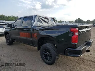2023 Chevrolet Silverado 1500 Custom Trail Boss with VIN 3GCUDCE85PG293096, listed as a Copart auction lot 68750824 with 17,310 mi miles and Salvage Title. Bid and sale history available at carsss.com. Image 2.