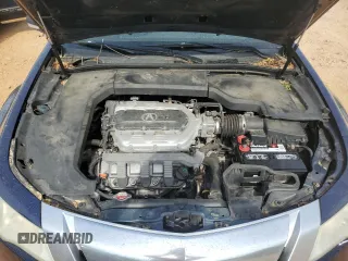 2009 Acura TL Technology z VIN 19UUA86549A009566, wystawiony jako Copart lot #54732455 z przebiegiem 248 257 mil mil oraz Szkoda całkowita • Salvage title. Historia ofert i sprzedaży dostępna na DreamBid. Obrazek 11.