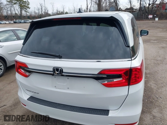 2024 Honda Odyssey EX-L with VIN 5FNRL6H66RB003316, listed as a IAAI auction lot 41304872 with 12,810 mi miles and . Bid and sale history available at DreamBid. Image 16.