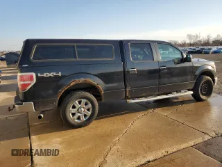 2013 Ford F-150 XL with VIN 1FTFW1EF1DKD72209, listed as a Copart auction lot 48377345 with 244,685 mi miles and Salvage Title. Bid and sale history available at carsss.com. Image 3.
