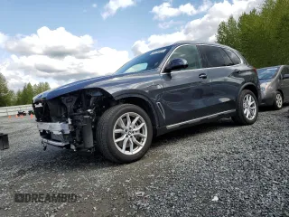2021 BMW X5 xDrive45e with VIN 5UXTA6C03M9H41531, listed as a Copart auction lot 54133805 with 17,484 mi miles and Salvage Title. Bid and sale history available at carsss.com. Image 1.