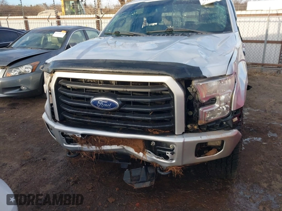 2017 Ford F-150 XL with VIN 1FTEW1EG8HKE36787, listed as a IAAI auction lot 41139656 with 107,595 mi miles. Bid and sale history available at carsss.com. Image 6.