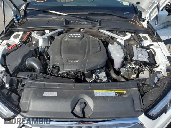 2019 Audi A4 Premium Plus with VIN WAUENAF45KN011604, listed as a Copart auction lot 59967812 with 33,399 mi miles. Bid and sale history available at carsss.com. Image 7.