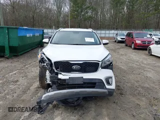 2017 Kia Sorento EX with VIN 5XYPH4A13HG294599, listed as a IAAI auction lot 41207089 with 41,642 mi miles and . Bid and sale history available at DreamBid. Image 12.