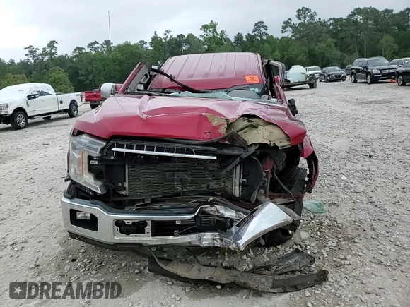 2020 Ford F-150 XL with VIN 1FTEX1CP3LKE59502, listed as a Copart auction lot 51449535 with 117,877 mi miles and Non repairable. Bid and sale history available at DreamBid. Image 13.