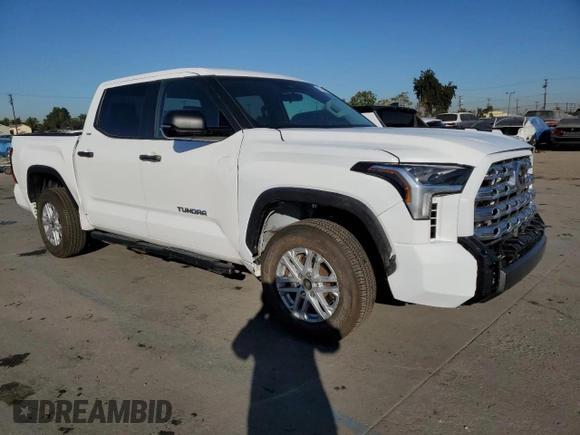 2023 Toyota Tundra 2WD SR5 with VIN 5TFLA5AB9PX020451, listed as a Copart auction lot 81788124 with 23,134 mi miles and Salvage Title. Bid and sale history available at carsss.com. Image 4.