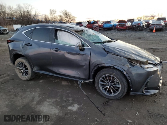 2023 Lexus NX with VIN 2T2GGCEZ4PC027507, listed as a Copart auction lot 80010563 with Not Provided miles. Bid and sale history available at carsss.com. Image 4.