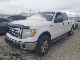 2012 Ford F-150 XL with VIN 1FTFW1EF5CFA48753, listed as a Copart auction lot 49877715 with 245,189 mi miles and Salvage Title. Bid and sale history available at carsss.com. Image 1.