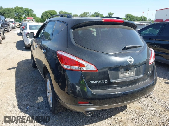 2013 Nissan Murano LE with VIN JN8AZ1MU0DW203829, listed as a IAAI auction lot 42029070 with 191,202 mi miles and . Bid and sale history available at DreamBid. Image 3.
