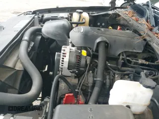 2005 Chevrolet Silverado 1500 Work Truck with VIN 2GCEK19V551223084, listed as a IAAI auction lot 42232818 with 179,533 mi miles and . Bid and sale history available at DreamBid. Image 19.