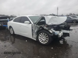 2015 Dodge Charger SE with VIN 2C3CDXBG1FH840253, listed as a Copart auction lot 44341075 with 192,206 mi miles and Salvage Title. Bid and sale history available at carsss.com. Image 4.