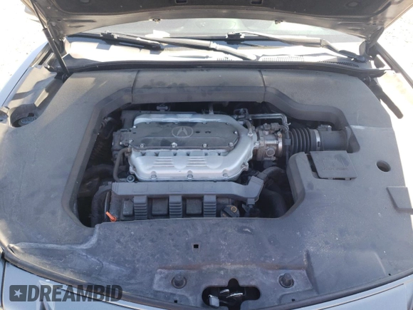 2009 Acura TL z VIN 19UUA86249A018919, wystawiony jako Copart lot #49532445 z przebiegiem 166 163 mil mil oraz Szkoda całkowita • Salvage title. Historia ofert i sprzedaży dostępna na DreamBid. Obrazek 12.
