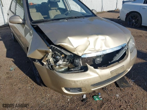 2009 Kia Spectra EX with VIN KNAFE221995652545, listed as a IAAI auction lot 41222340 with 160284 miles. Bid and sale history available at carsss.com. Image 6.