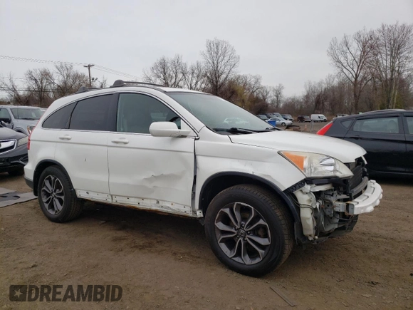 2007 Honda CR-V EX-L with VIN JHLRE48787C064509, listed as a Copart auction lot 51769965 with 207,692 mi miles and Salvage Title. Bid and sale history available at carsss.com. Image 4.