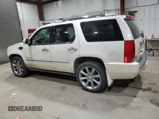 2010 Cadillac Escalade Premium with VIN 1GYUKCEF2AR146420, listed as a Copart auction lot 48102685 with 121,229 mi miles and Clean title. Bid and sale history available at DreamBid. Image 2.