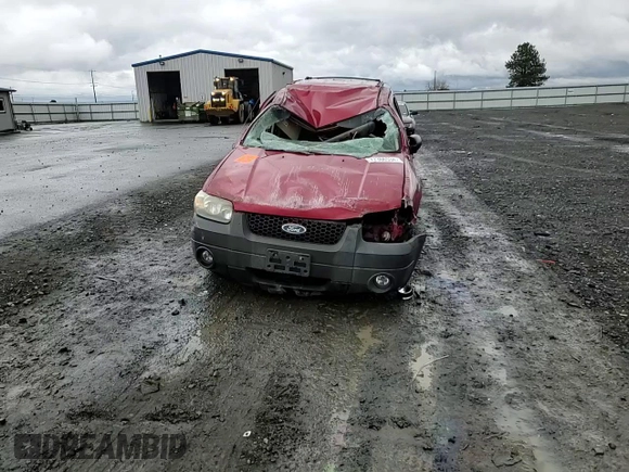 2005 Ford Escape XLT with VIN 1FMYU93195KA41167, listed as a Copart auction lot 77366534 with 196,139 mi miles and Non Repairable. Bid and sale history available at carsss.com. Image 10.
