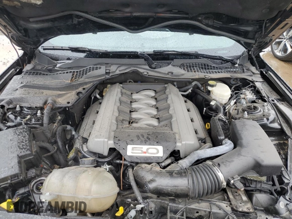 2016 Ford Mustang GT with VIN 1FA6P8CF5G5232715, listed as a Copart auction lot 73223314 with 49,765 mi miles and Clean Title. Bid and sale history available at carsss.com. Image 11.