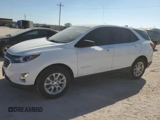 2019 Chevrolet Equinox LS z VIN 3GNAXHEV8KS560998, wystawiony jako Copart lot #73584804 z przebiegiem 46 014 mil mil oraz Tytuł czysty. Historia ofert i sprzedaży dostępna na DreamBid. Obrazek 1.