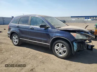 2010 Honda CR-V EX with VIN 5J6RE4H56AL096484, listed as a Copart auction lot 49945545 with 0 mi miles and Clean Title. Bid and sale history available at carsss.com. Image 4.