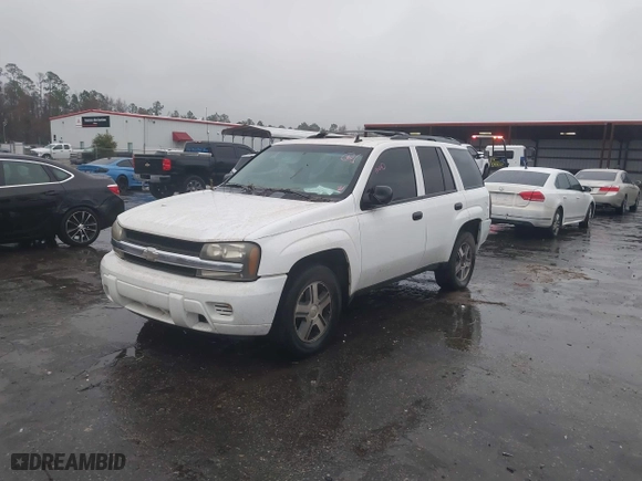 2008 Chevrolet TrailBlazer LT w/1LT with VIN 1GNDS13S582141510, listed as a IAAI auction lot 41306128 with 168,745 mi miles. Bid and sale history available at carsss.com. Image 2.
