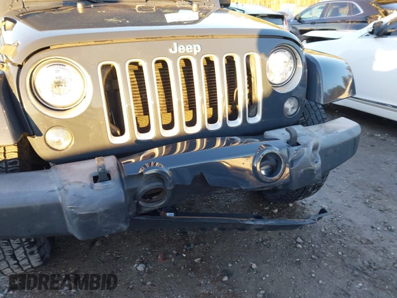 2017 Jeep Wrangler Unlimited Sahara with VIN 1C4BJWEGXHL686766, listed as a IAAI auction lot 41305319 with 97,806 mi miles. Bid and sale history available at carsss.com. Image 6.