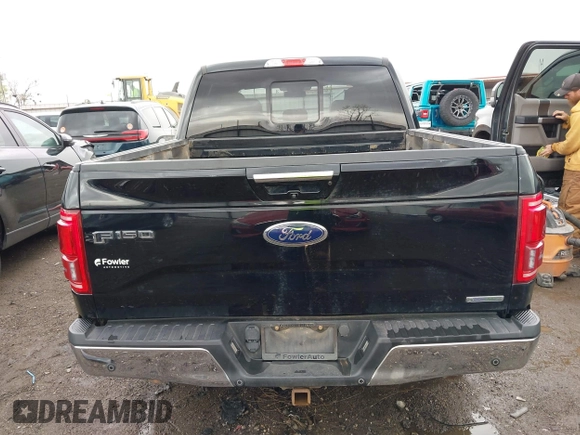 2017 Ford F-150 XL with VIN 1FTEW1CP0HKD40610, listed as a IAAI auction lot 41934435 with 158,881 mi miles. Bid and sale history available at carsss.com. Image 17.