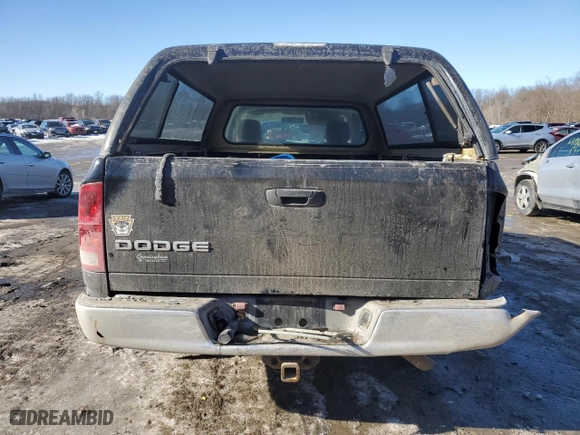 2003 Dodge Ram 1500 ST with VIN 1D7HA16N53J650553, listed as a Copart auction lot 42520285 with 109,550 mi miles and Salvage Title. Bid and sale history available at carsss.com. Image 6.