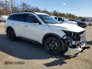 2025 Infiniti QX60 Luxe with VIN 5N1AL1FS5SC338274, listed as a Copart auction lot 48479865 with 1,002 mi miles and Salvage title. Bid and sale history available at DreamBid. Image 4.