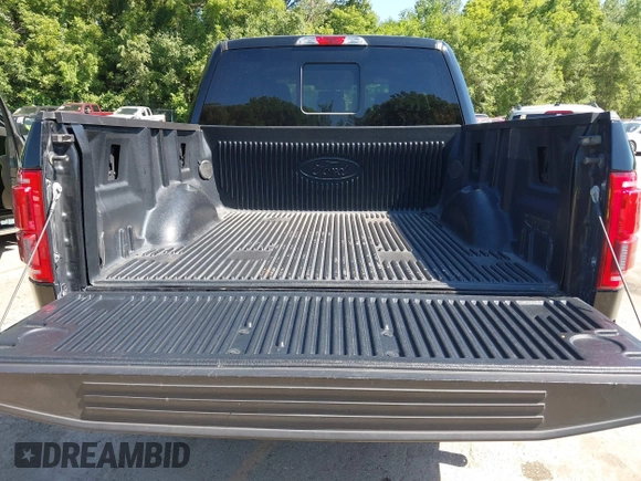 2016 Ford F-150 XLT с VIN 1FTEW1EG4GKF48534, выставлен на аукционе IAAI как лот 42635763 с пробегом 122 646 миль миль и . История ставок и продаж доступна на DreamBid. Изображение 17.