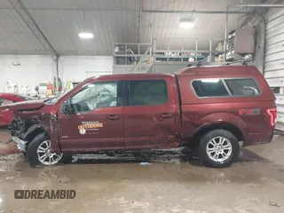 2016 Ford F-150 XLT with VIN 1FTEW1EP6GFA84087, listed as a IAAI auction lot 41548251 with 142,095 mi miles. Bid and sale history available at carsss.com. Image 13.