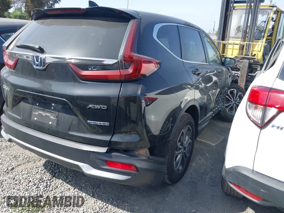 2020 Honda CR-V EX with VIN 7FART6H51LE019894, listed as a IAAI auction lot 41741587 with Not Provided miles and . Bid and sale history available at DreamBid. Image 4.