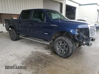 2011 Ford F-150 XLT with VIN 1FTFW1ET2BFB81443, listed as a Copart auction lot 46299165 with 250,287 mi miles and Salvage Title. Bid and sale history available at carsss.com. Image 4.