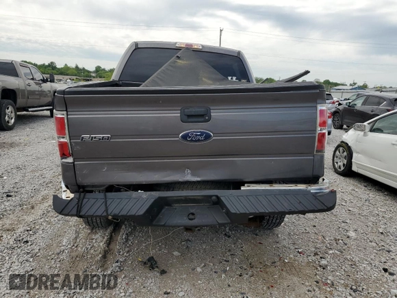 2013 Ford F-150 XL with VIN 1FTFW1ET4DKF81269, listed as a Copart auction lot 55813125 with 158,729 mi miles and Salvage title. Bid and sale history available at DreamBid. Image 6.