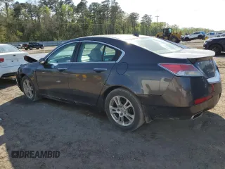 2009 Acura TL Tech with VIN 19UUA86589A001776, listed as a Copart auction lot 50307395 with 116,172 mi miles and Salvage Title. Bid and sale history available at carsss.com. Image 2.