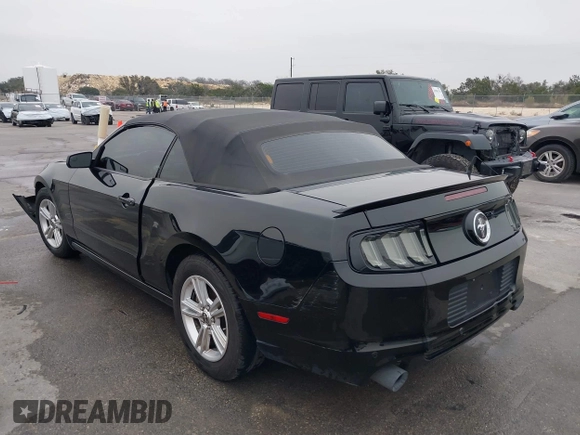 2014 Ford Mustang V6 z VIN 1ZVBP8EM2E5330955, wystawiony jako IAAI lot #41567236 z przebiegiem 17 365 mil mil oraz . Historia ofert i sprzedaży dostępna na DreamBid. Obrazek 3.
