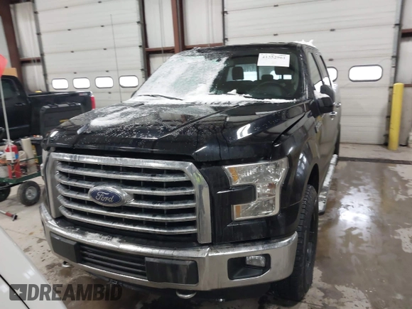 2016 Ford F-150 XLT with VIN 1FTFW1EF2GFA77374, listed as a IAAI auction lot 41352961 with 133,186 mi miles. Bid and sale history available at carsss.com. Image 12.