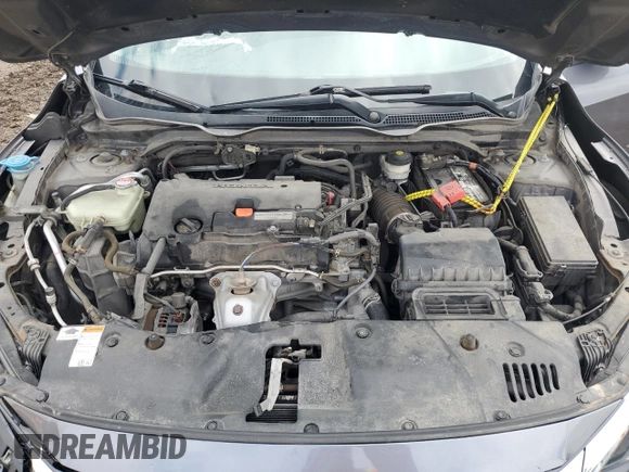 2017 Honda Civic LX with VIN 19XFC2F55HE034793, listed as a Copart auction lot 51168315 with Not Provided miles and Salvage Title. Bid and sale history available at DreamBid. Image 12.