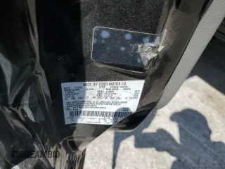 2006 Ford F-150 STX with VIN 1FTRX02WX6KB72599, listed as a Copart auction lot 58015195 with 260,572 mi miles and Salvage title. Bid and sale history available at DreamBid. Image 12.