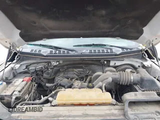 2016 Ford F-150 XL with VIN 1FTMF1C85GFA89028, listed as a IAAI auction lot 42118013 with 146,449 mi miles and . Bid and sale history available at DreamBid. Image 10.