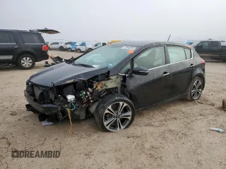 2016 Kia Forte EX with VIN KNAFX5A85G5546374, listed as a Copart auction lot 47054035 with Not Provided miles and Salvage Title. Bid and sale history available at carsss.com. Image 1.
